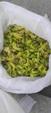 顺丰包邮铁皮石斛鲜花花苞一斤500g花芽子未全开特殊菜品