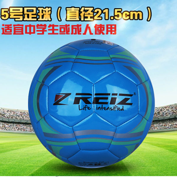 35.00元包邮正品4号5号儿童中小学生比赛球