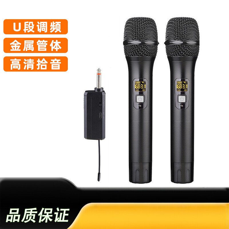 无线麦克风一拖二调频话筒接收器家用会议户外直播唱歌麦厂家直销