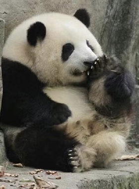 小脚丫不再“受气”~「拾璟年」足部喷雾 jio气清爽止痒