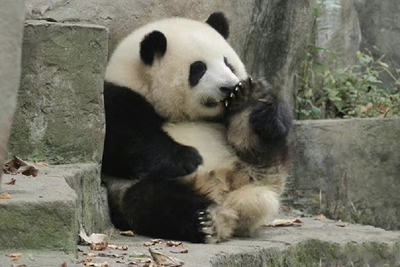 足部喷雾jio气清爽止痒抑菌