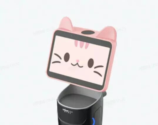 猎户星空机器人头套(豹小秘mini)