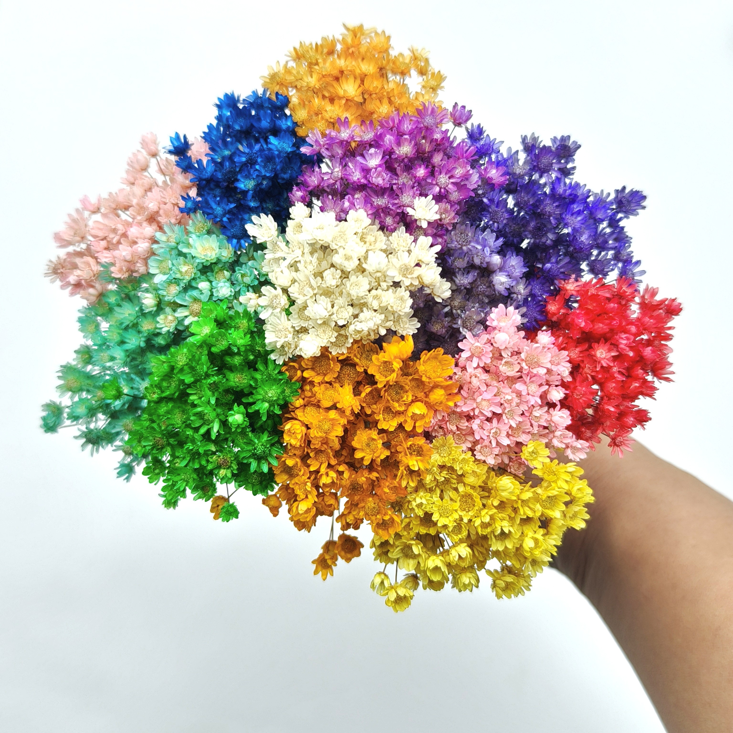 巴西小星花滴胶口红制作材料迷你小雏菊干花天星菊超小装饰插花瓶,鲜花速递/花卉仿真/绿植园艺,干花,淘宝优惠券,粉丝福利购,淘宝优惠卷