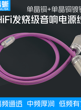 毒蜥 DY5000单晶铜镀银发烧级电源线功放CD机hifi音响电源线胆机