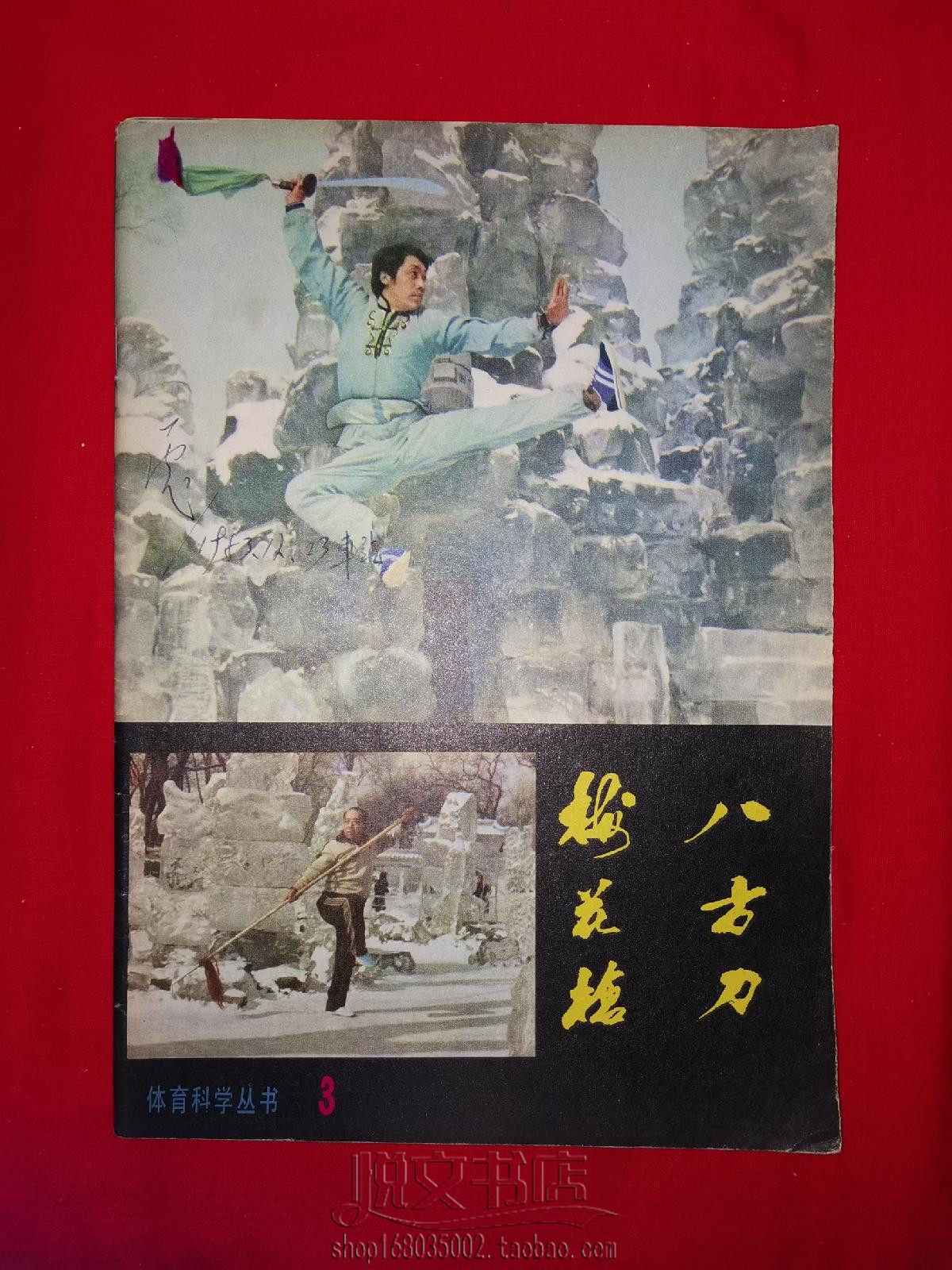 八方刀 梅花枪(全一册)基本功练习套路中国武术功夫二手旧书籍