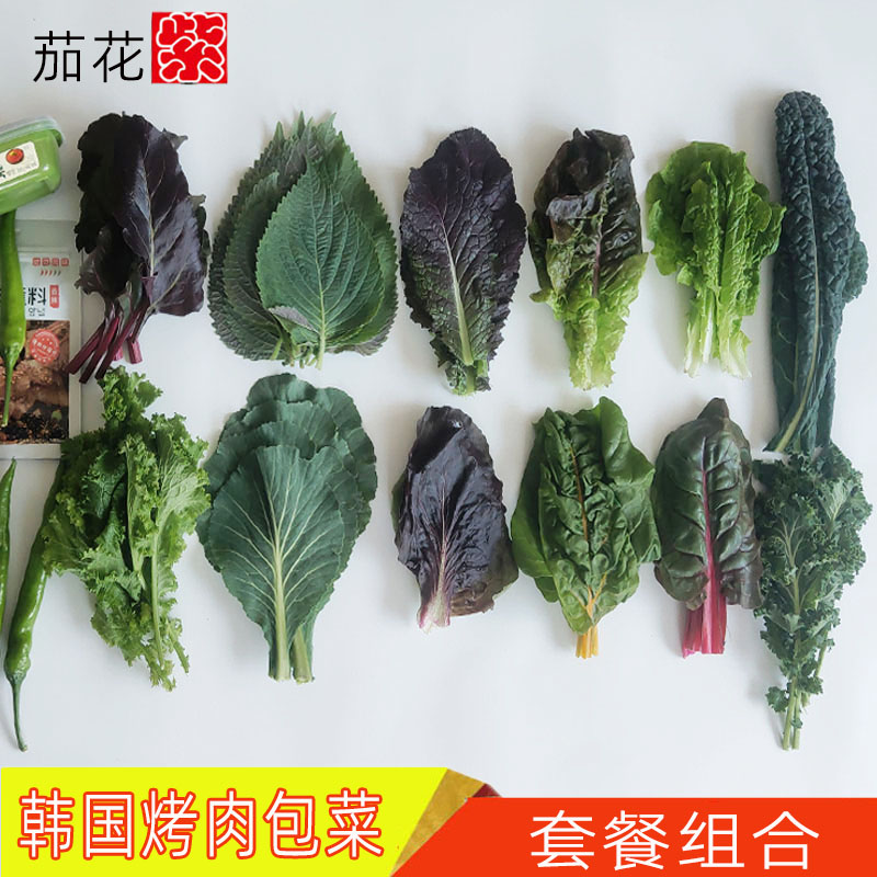 韩国烤肉包肉菜叶套餐
