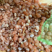 20个起批 天然青鱼石原石 一个 2.5元 量大从优 带刀伤微瑕疵鱼石