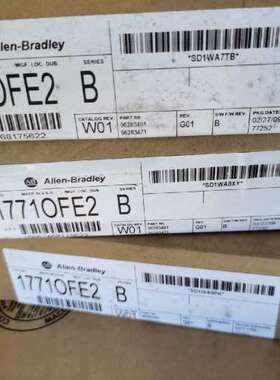 售前咨询1771OFE2 B 1771-OFE2/B ANALOG OUTPUT 1771PLC模块 4-2