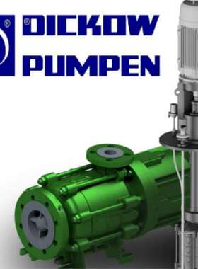 售前咨询德国DICKOW PUMPEN