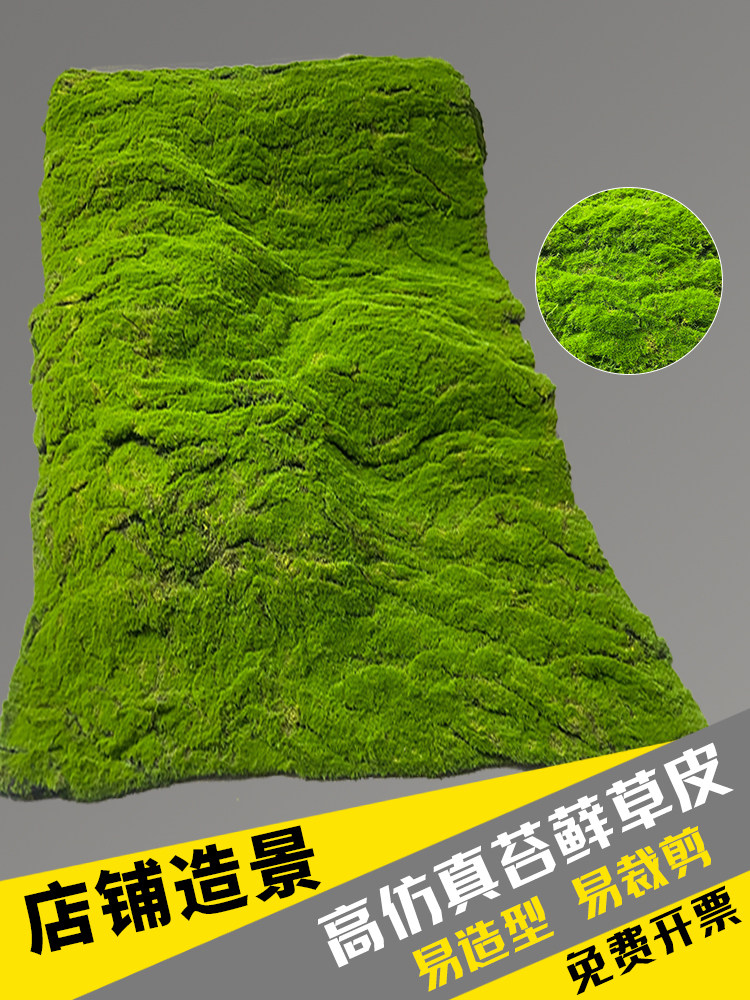 自由度仿真苔藓草皮拍摄新品青苔