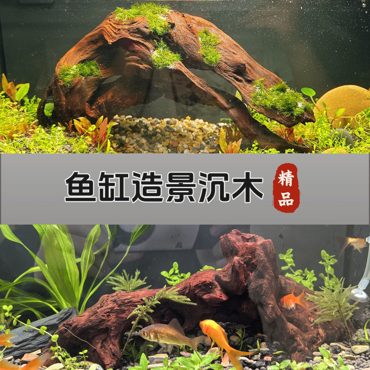 新品沉木鱼缸专用造景紫柚木树桩拱桥躲避免煮天然树根木乌龟晒台
