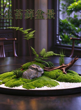 餐桌中间景观摆件苔藓盆景造景