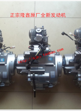 隆鑫原厂动力LX110ZH三轮摩托车 107cm3 LX152FMH发动机总成机头