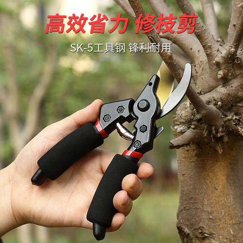园艺剪刀SK5果树修枝剪园林粗枝剪树枝用的剪刀花艺省力摘果剪