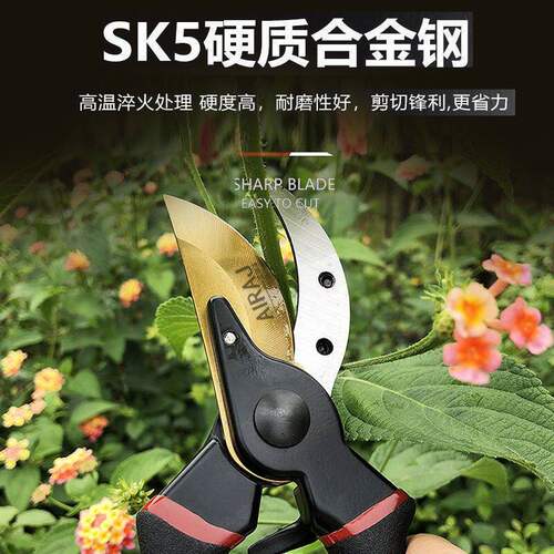 修枝剪刀省力防锈园艺果枝剪刀花枝剪园林摘果神器合金钢耐用方便