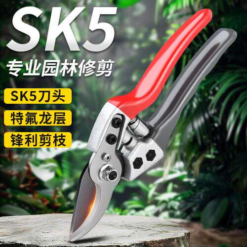 园艺剪刀SK5钢修枝剪花艺专用园林树木枝剪果树树枝专业修剪神器