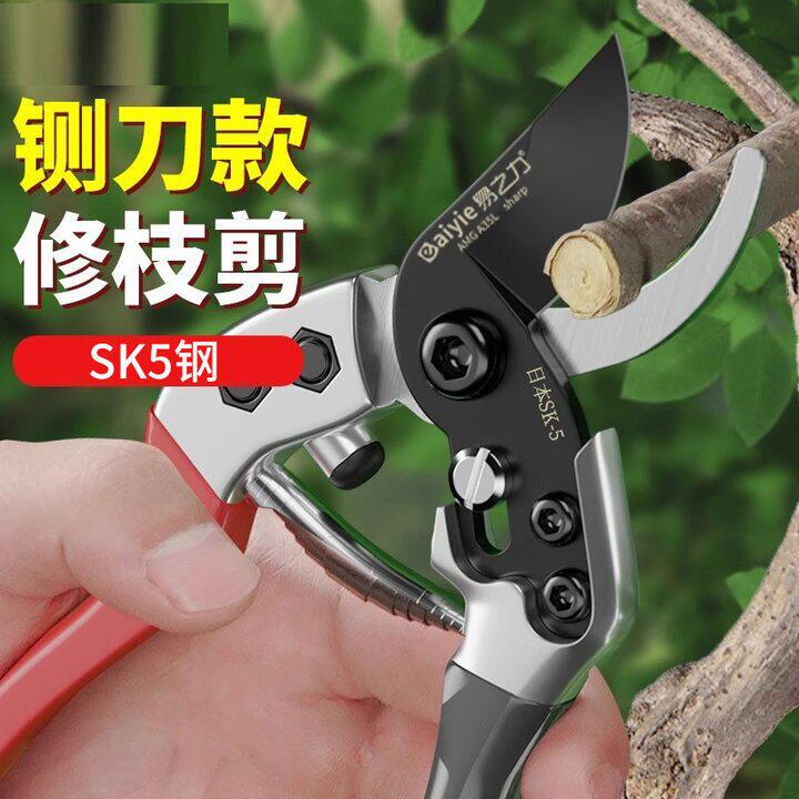 新款2026修枝剪树枝剪刀sk5园艺修花剪果树粗枝剪子修剪树枝专用图片