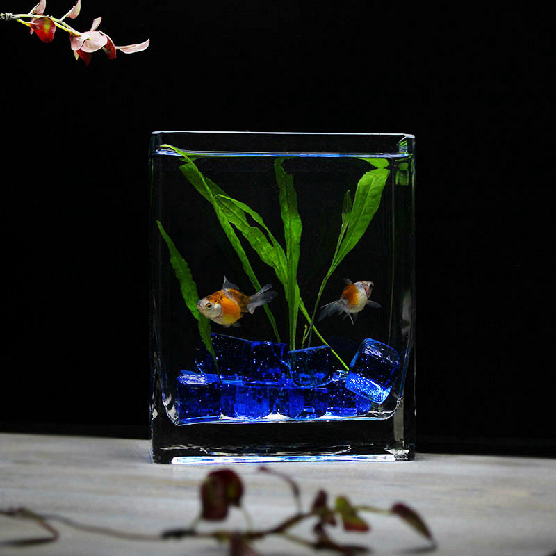 高透亮加厚一体缸无接缝清晰玻璃