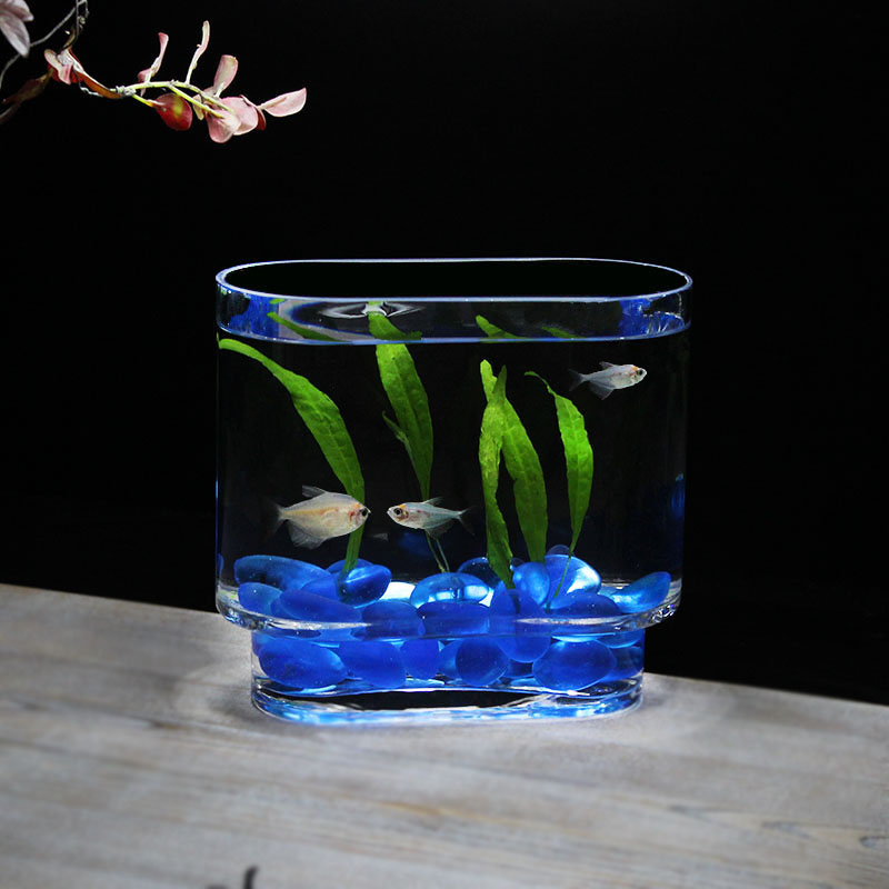 创意桌面玻璃鱼缸一次成型斗鱼缸一体金鱼缸加厚高透亮观赏性鱼缸