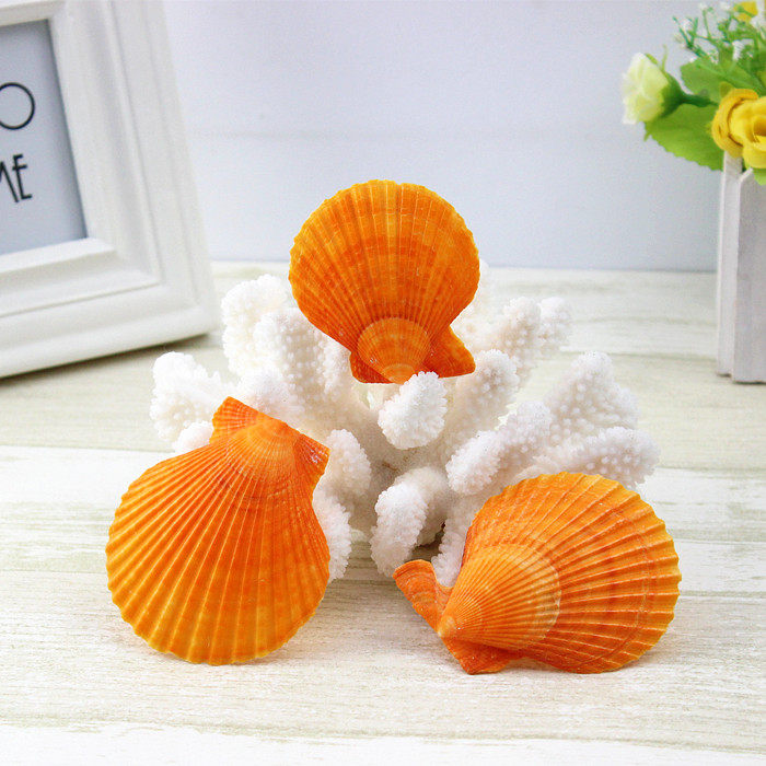 美人鱼天然贝壳桔色彩色贝壳鱼缸装饰品地中海风格摆件海螺贝壳