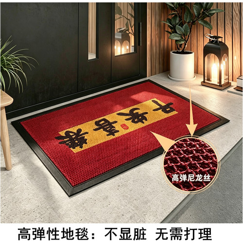 新款高级感入户蹭土地垫耐脏