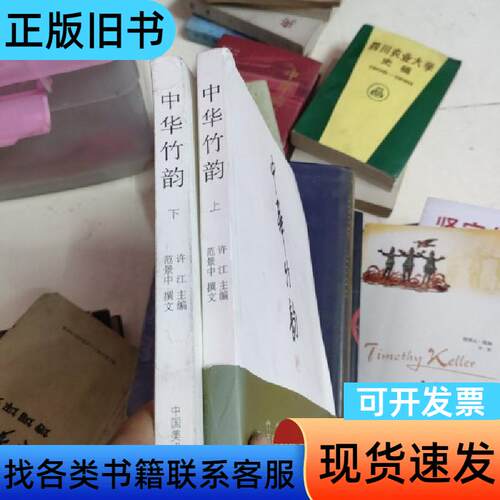 中华竹韵 许江 编   中国美术学院出版社