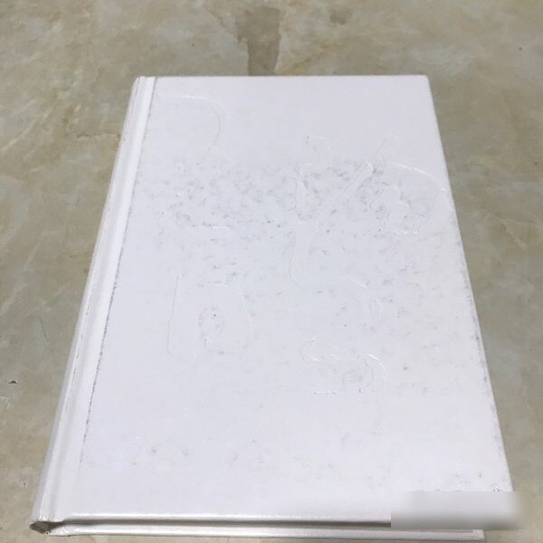 原版旧书王阳明：一切心法（书皮有污渍如图） 9787559611673