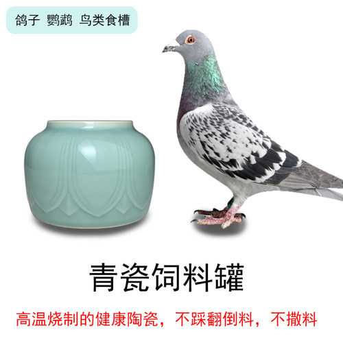 鹦鹉饲料罐防撒青瓷信鸽子饲料罐