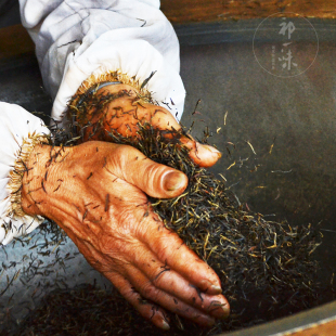 【2026新茶现货】祁门红茶 祁红金针100g 核心产区 原产地直发