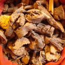 广西金秀传统滋补品其他食用农家土特产 干货材料250g直销 地榆