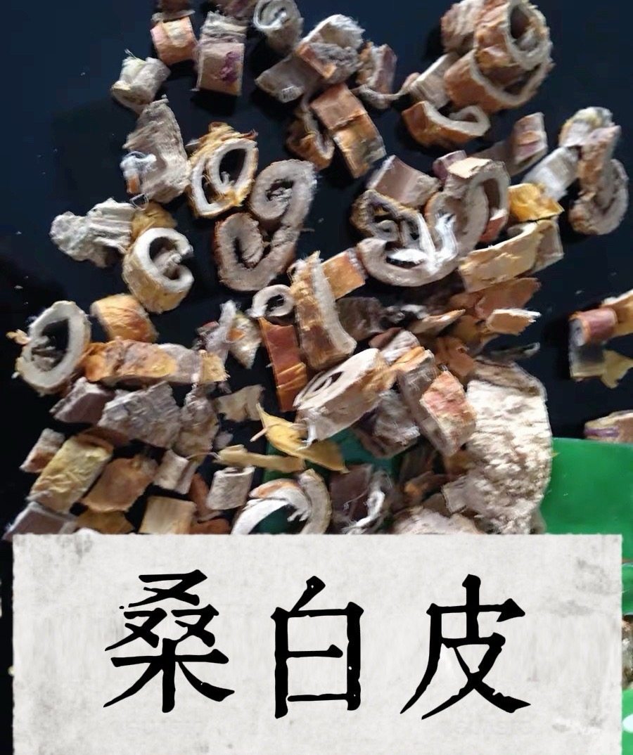 野生桑白皮正品桑树根白皮白桑皮 老桑树根皮 古梓白皮用现桑白皮