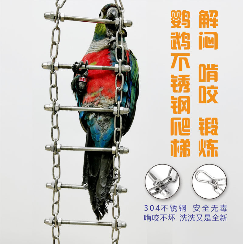 中大型鹦鹉304不锈钢攀爬天梯图片
