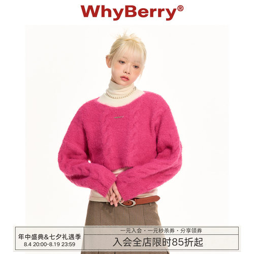 WhyBerry套头圆领短款毛衣