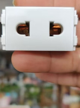 鸿雁开关插座C系列86型120型二孔插座模块  CZ12T10/CZ12A10