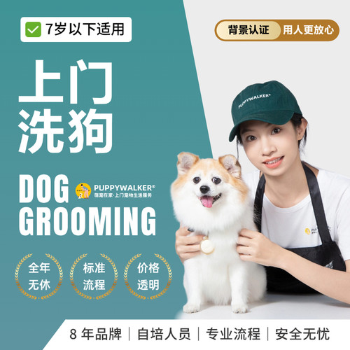 萌宠在家宠物上门洗狗洗澡服务