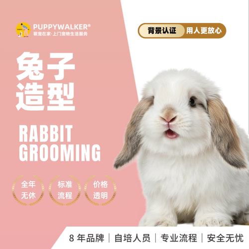 萌宠在家宠物上门兔兔剪毛造型