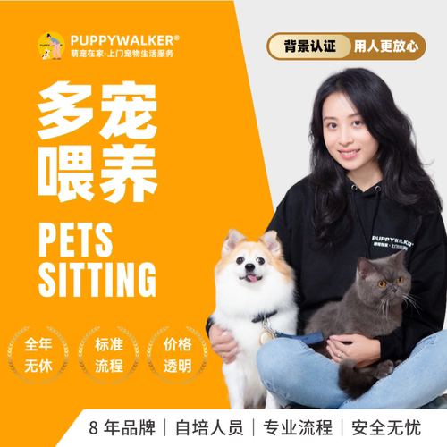 宠物上门喂养多宠服务预约