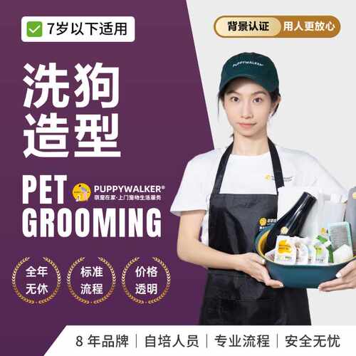 萌宠在家宠物上门狗洗澡剪毛造型