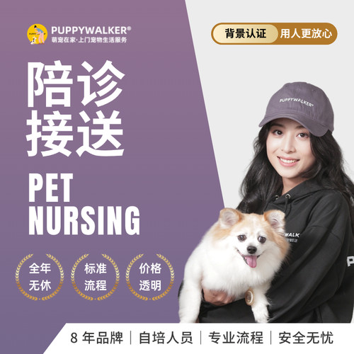萌宠在家宠物陪诊接送服务