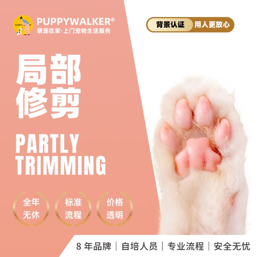 萌宠在家宠物上门猫咪局部修剪