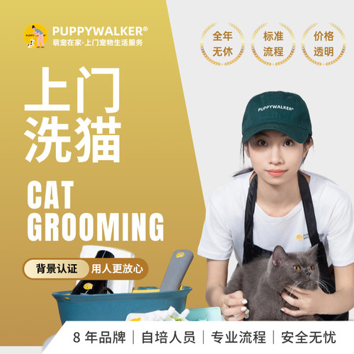 萌宠在家上门猫咪洗澡深层清洁