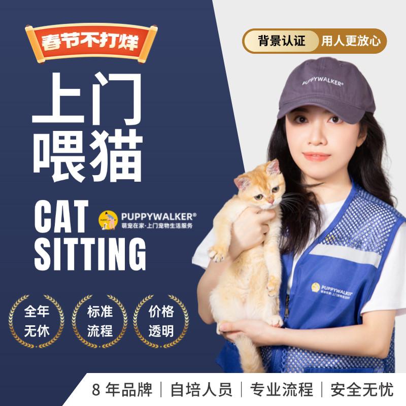 上门喂猫｜济南太原等新城市|萌宠在家|猫咪宠物喂食寄养铲屎春节
