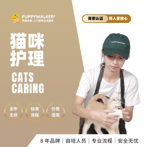 萌宠在家宠物上门猫咪瘫痪护理