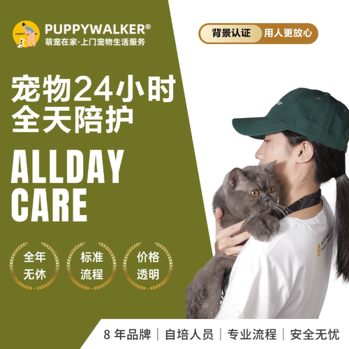 萌宠在家狗寄养全天陪护分离焦虑