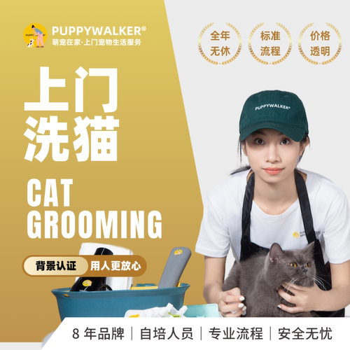 萌宠在家上门猫咪洗澡深层清洁