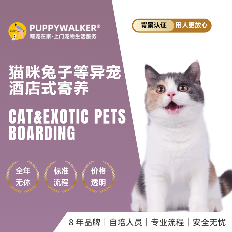 猫咪兔兔蜜袋鼬小宠酒店式寄养｜仅限广州｜专业贴心照料春节预约