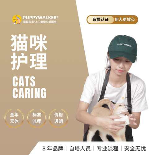 萌宠在家上门喂猫宠物代喂特护
