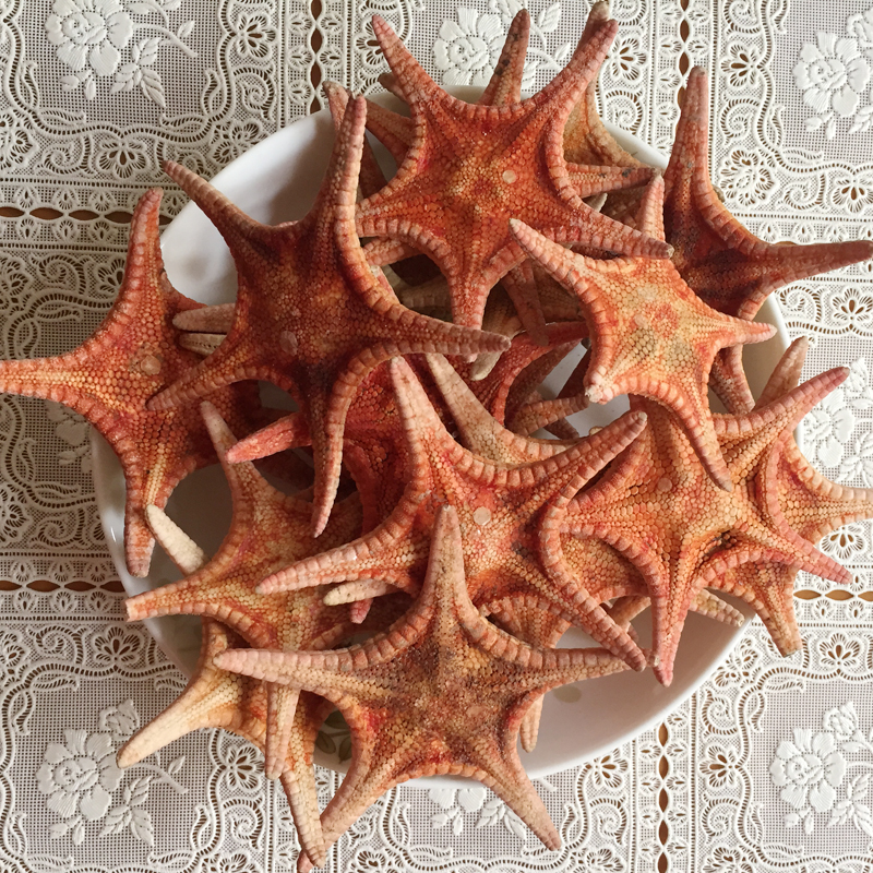 海星干货红星干台山特产海鲜水产海味生晒淡晒煲汤料500g