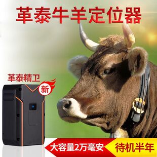 革泰牛羊定位器 gps卫星北斗动物山区放牧专用骆驼马追踪神器防丢