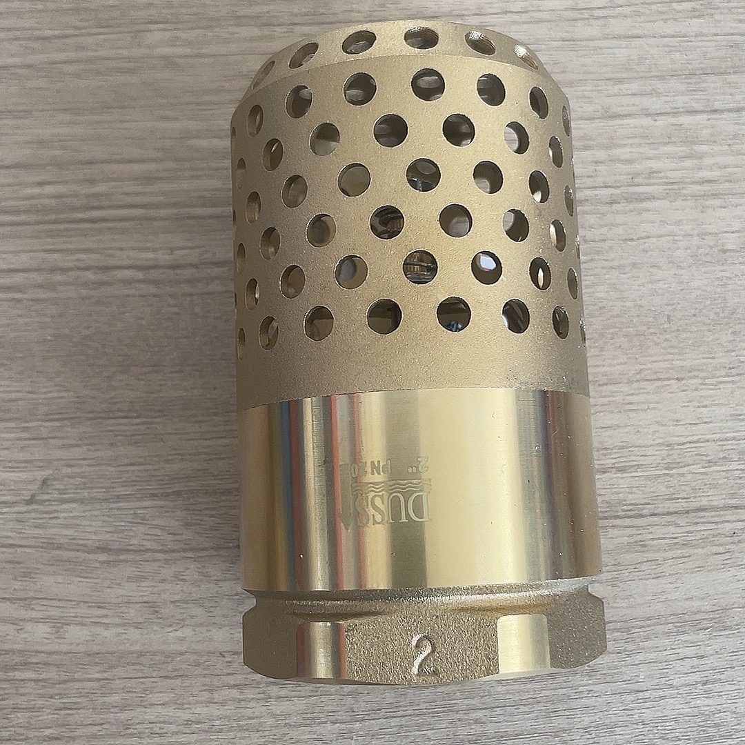 全铜网铜底阀吸水泵弹簧立式止回